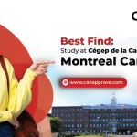 Best Find 2023: Study at Cégep de la Gaspésie et des Îles – Montreal Campus