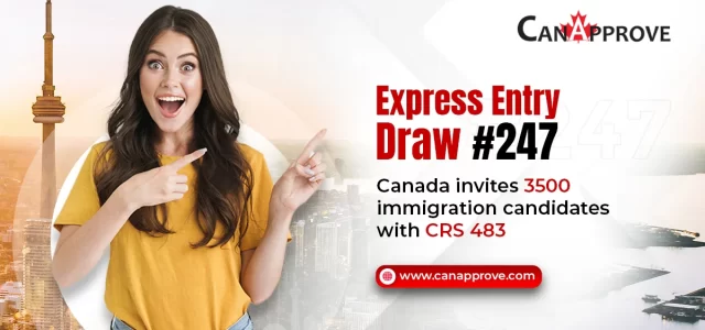 Express Entry draw 247