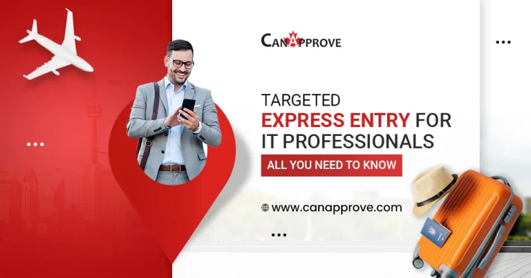 IT Professionals