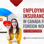 Employment Insurance in Canada for Foreign Workers: All You Need to Know!