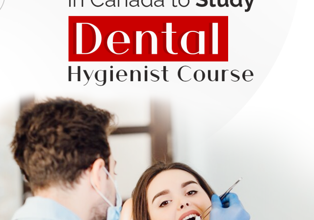 Study Dental Hygienist Course in Canada