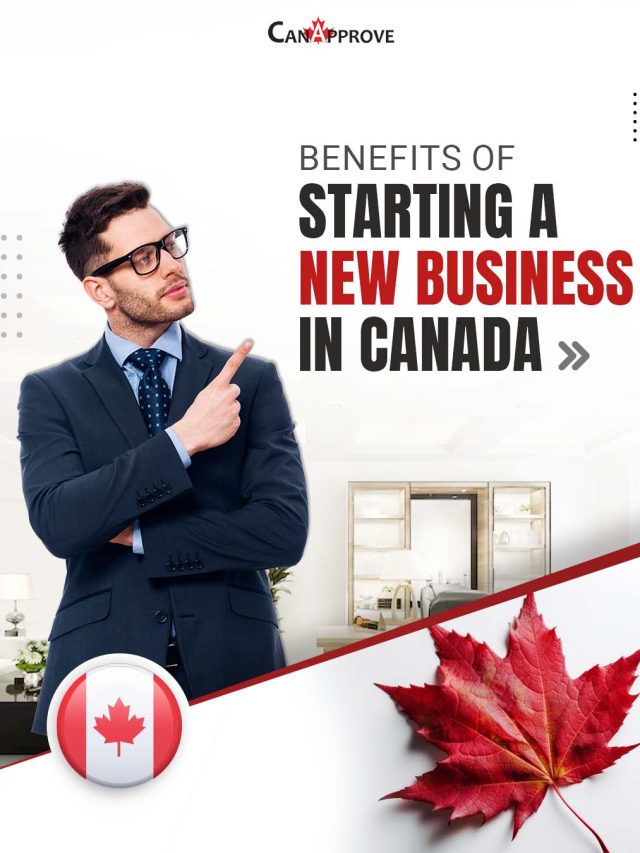 Benefits of Starting a New Business in Canada