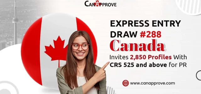 Express Entry Draw 288