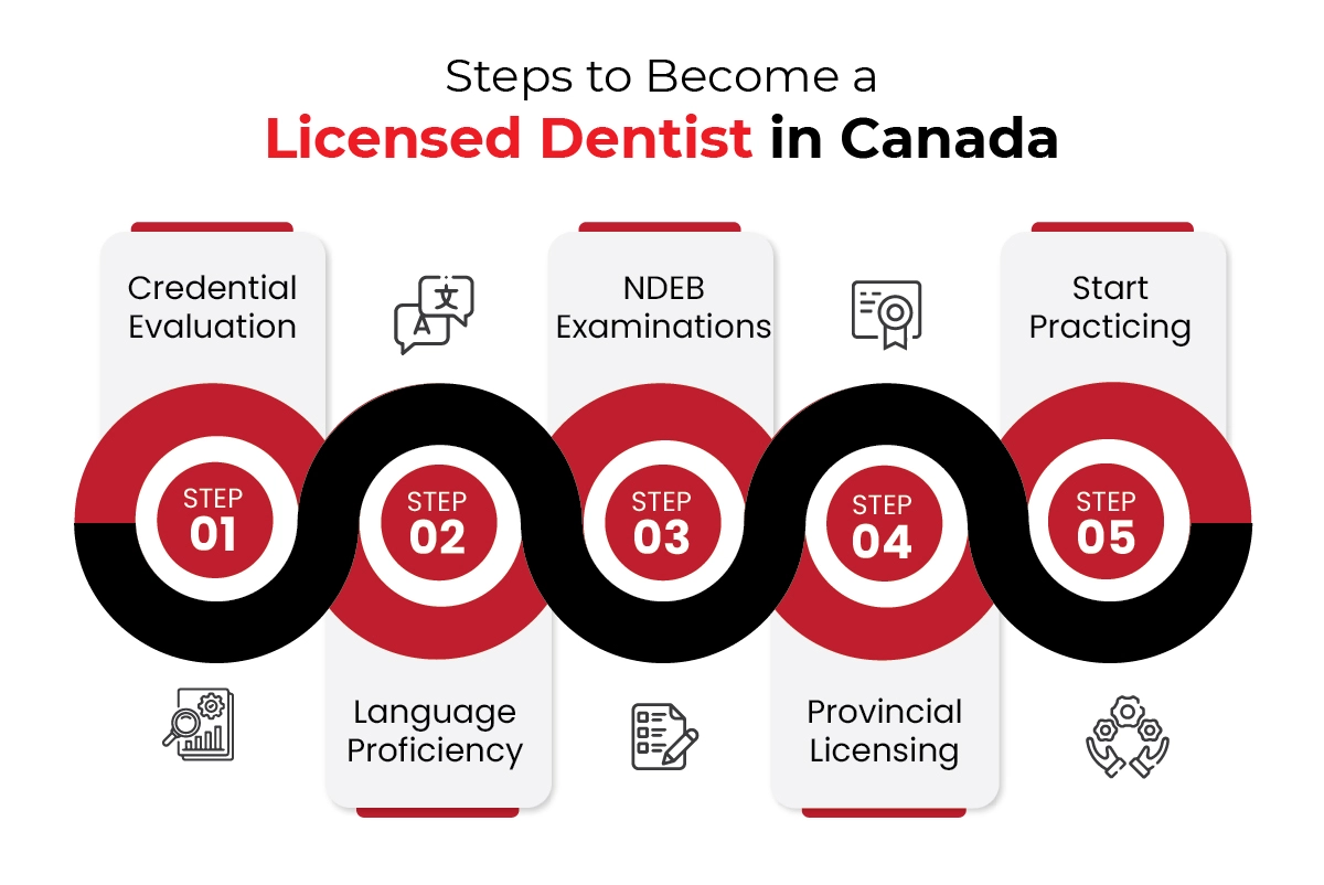 How to Become a Licensed Dentist in Canada