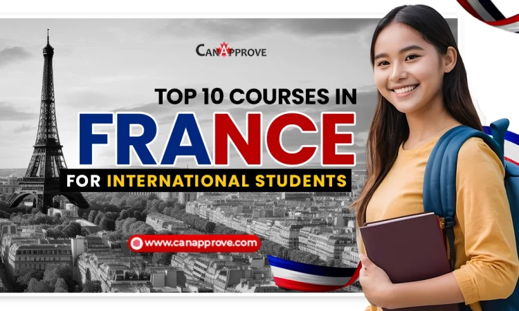 Courses in France for International Students