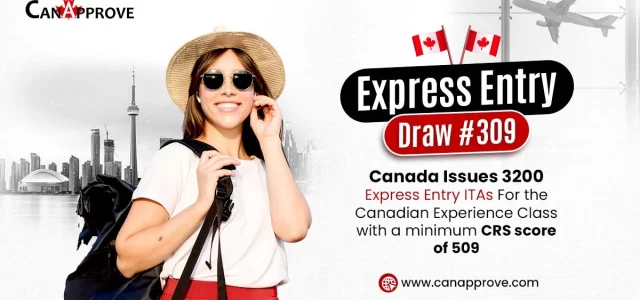 Express Entry Draw 309