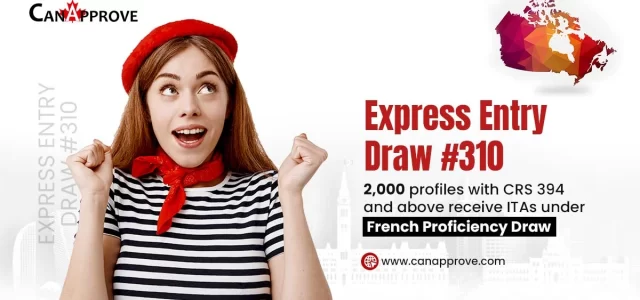 Express entry draw 310