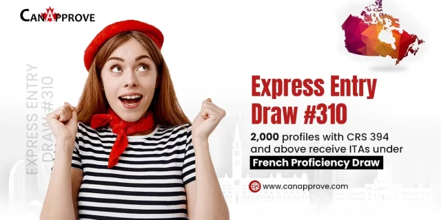 Express entry draw 310