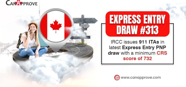 express entry draw 313