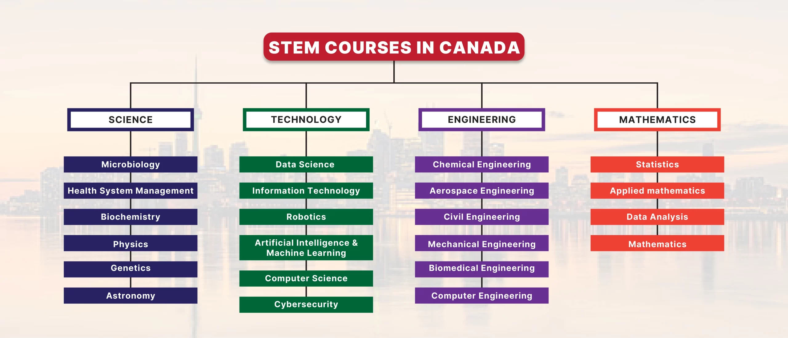 Stem Courses in Canada for International Students