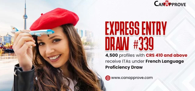 Express Entry Draw 339