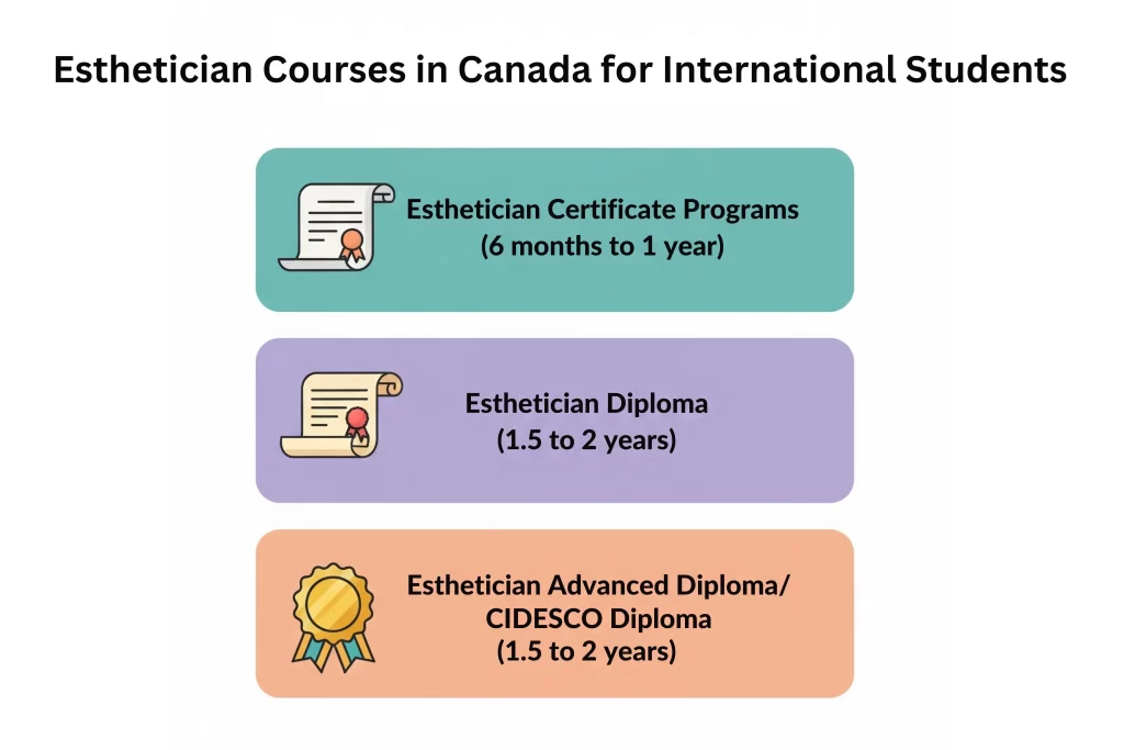 Esthetician Courses in Canada for International Students
