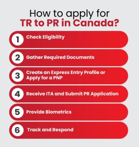 How to apply for TR to PR in Canada