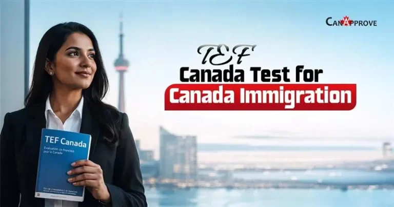 Professional woman holding a TEF Canada exam booklet with Toronto skyline in the background, promoting the TEF Canada test for Canada immigration