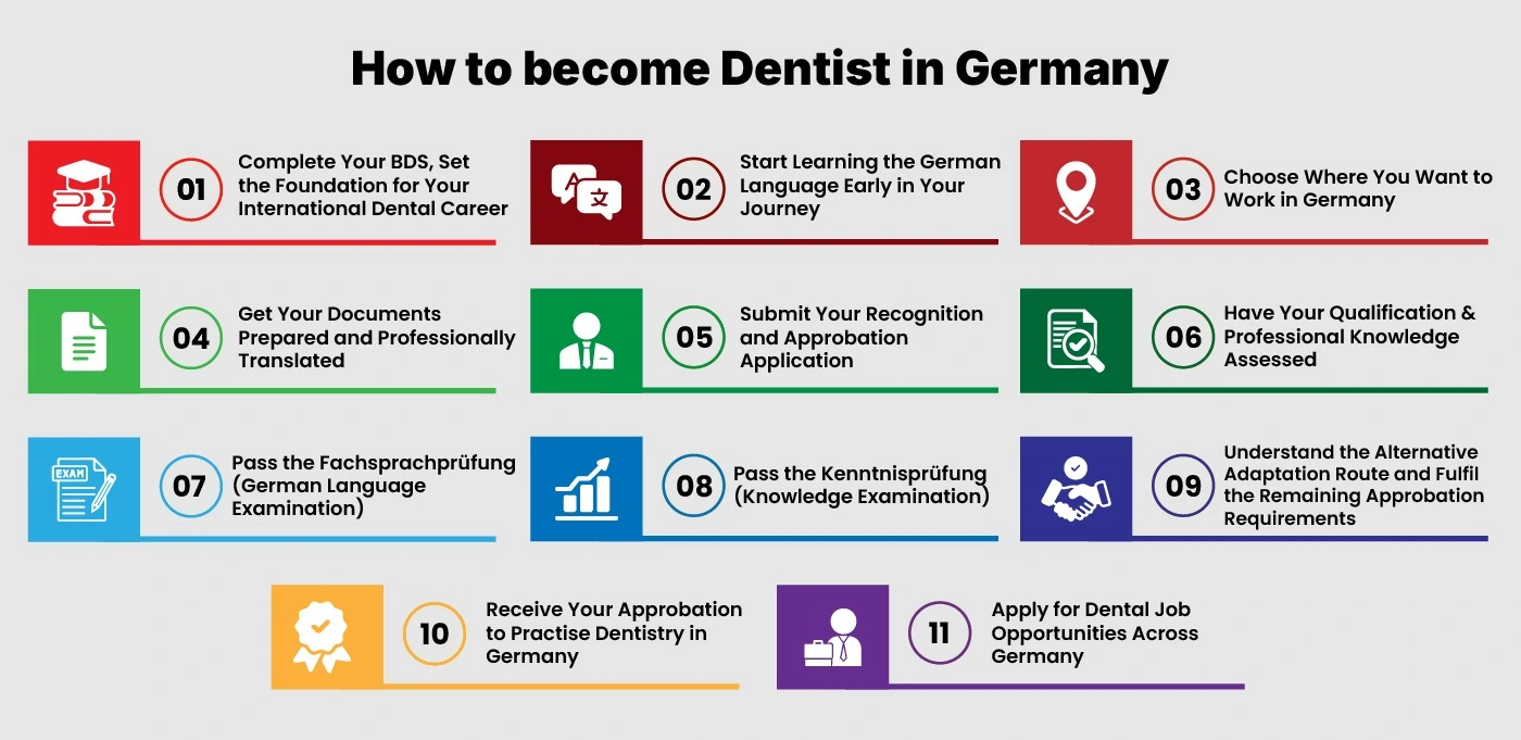 How to Become Dentist in Germany